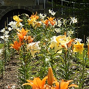DSCN1786
