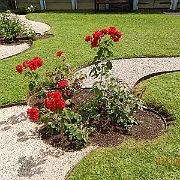 DSCN1792