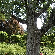 DSCN1795