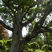 DSCN1796