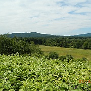 DSCN1817