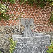 DSCN1822