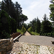 P7090149