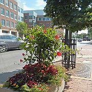 DSCN1944