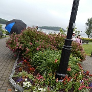 DSCN2217
