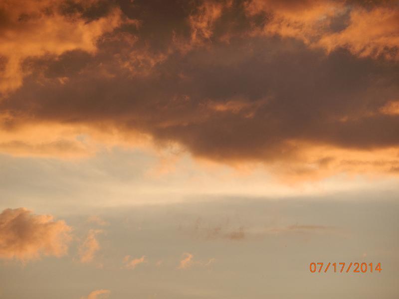 DSCN2439