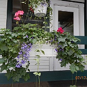 DSCN2382