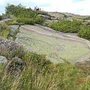DSCN2404