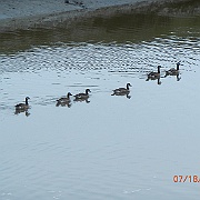 DSCN2458