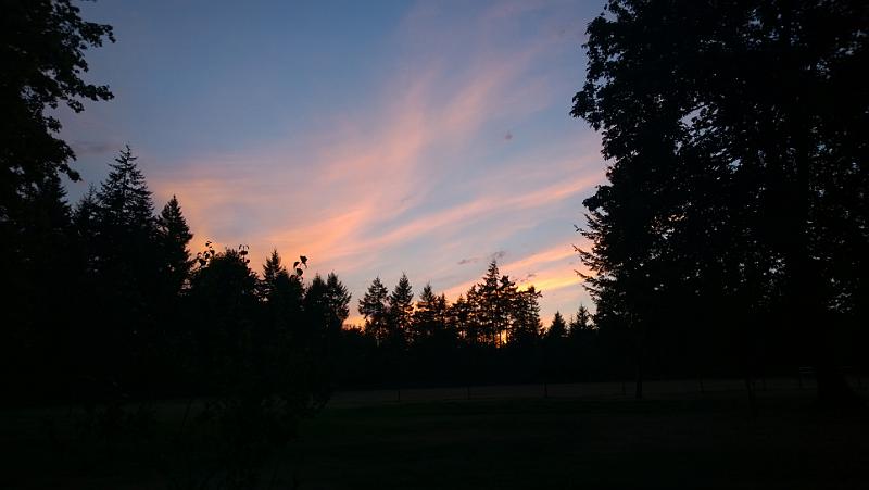WP_20140915_19_31_16_Pro__highres