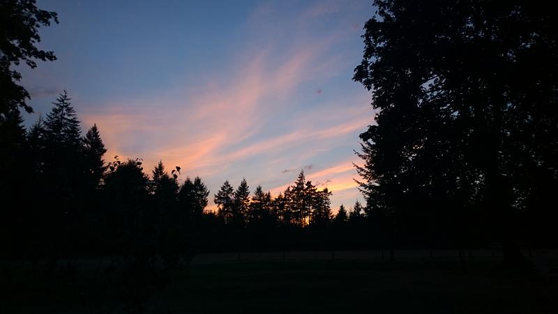 WP_20140915_19_31_28_Pro__highres