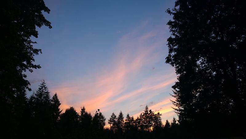 WP_20140915_19_31_45_Pro__highres