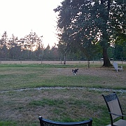 WP_20140915_19_17_22_Pro__highres