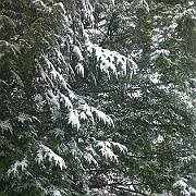 WP_20141126_12_21_04_Pro__highres