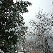 WP_20141126_16_02_10_Pro__highres
