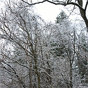 WP_20141126_16_02_26_Pro__highres