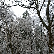 WP_20141126_16_02_38_Pro__highres