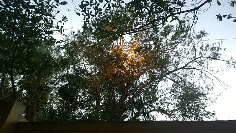 WP_20161009_18_58_58_Pro__highres