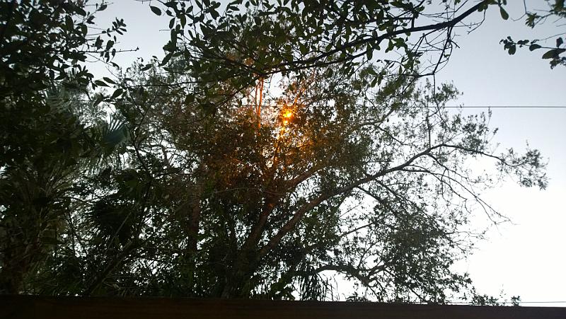 WP_20161009_18_59_05_Pro__highres