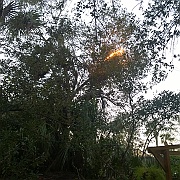 WP_20161009_18_58_47_Pro__highres