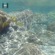 GOPR1225