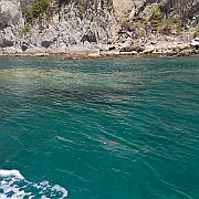 WP_20170317_13_32_22_Pro__highres