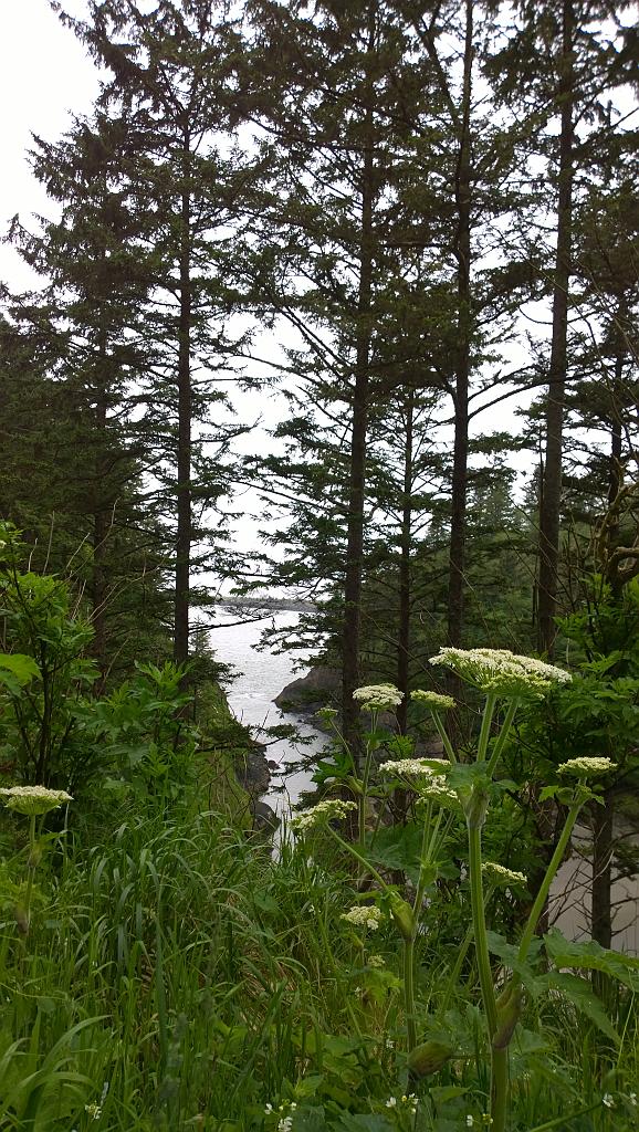 WP_20170531_14_15_25_Pro__highres
