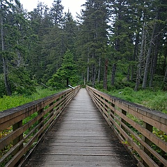 WP_20170531_13_10_25_Pro__highres