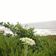 WP_20170531_13_28_29_Pro__highres