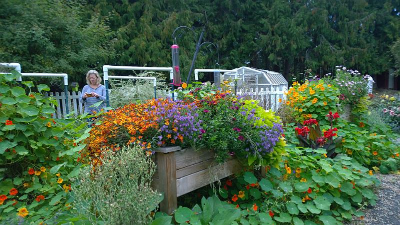 WP_20180915_16_27_06_Pro__highres