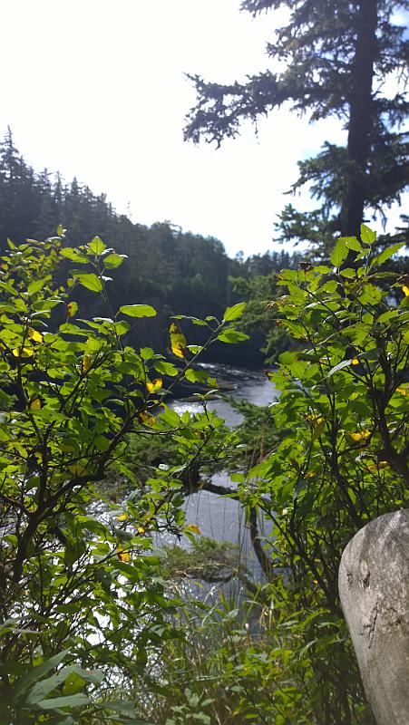 WP_20180916_15_07_11_Pro__highres