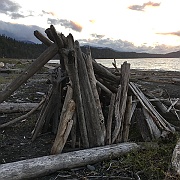IMG_2449