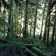 WP_20180917_10_43_04_Pro__highres