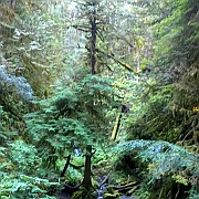 WP_20180917_10_58_22_Pro__highres
