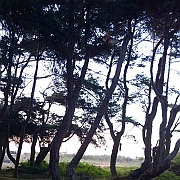 WP_20180917_19_19_00_Pro__highres