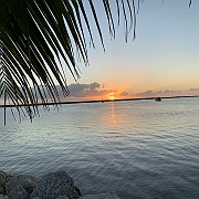 IMG_7004