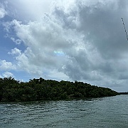 IMG_5984