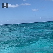 IMG_1803