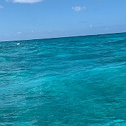 IMG_1804