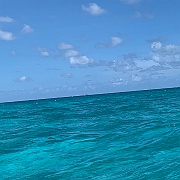 IMG_1805
