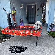 IMG_6209