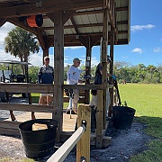 IMG_6650
