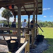 IMG_6654