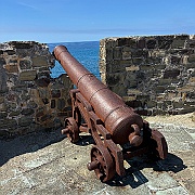 IMG_6868