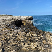 IMG_7116