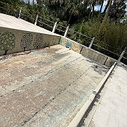 IMG_7447