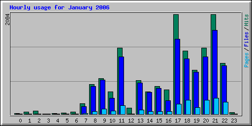 Hourly usage for January 2006